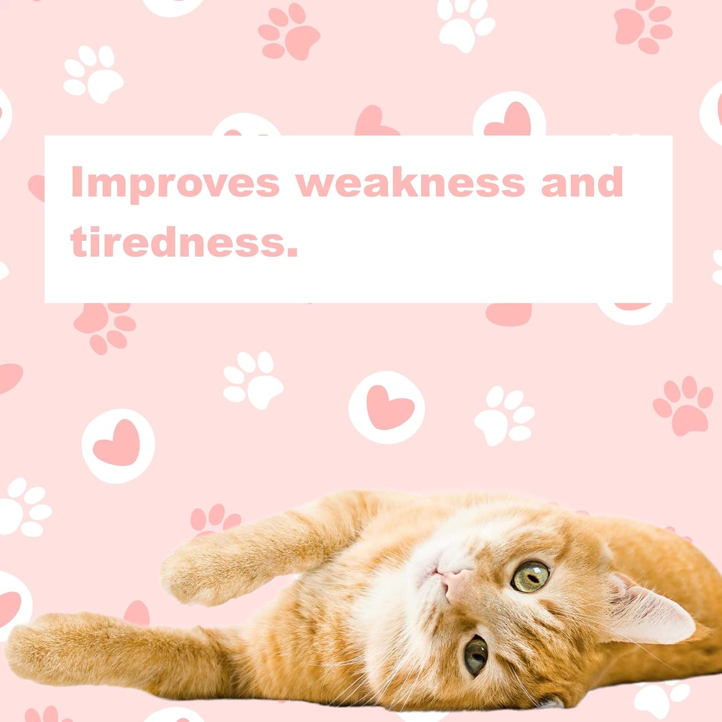 LifeLink Zobaline methylcobalamin vitamin B12 feline supplement packaging detail
