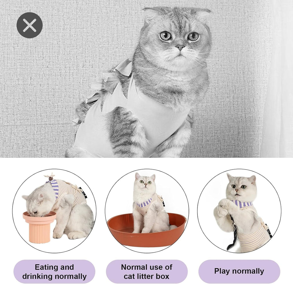 Cat wearing H Hidream purple recovery suit lounging comfortably