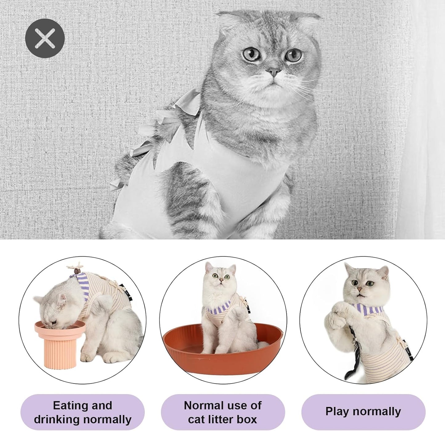 Cat wearing H Hidream purple recovery suit lounging comfortably