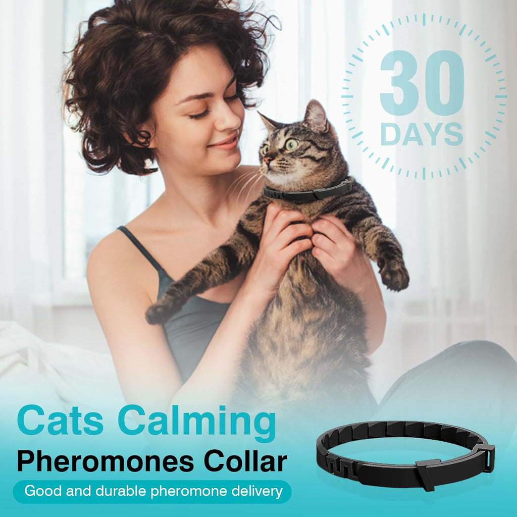 Adjustable purple pheromone collar wrapped on an anxious cat