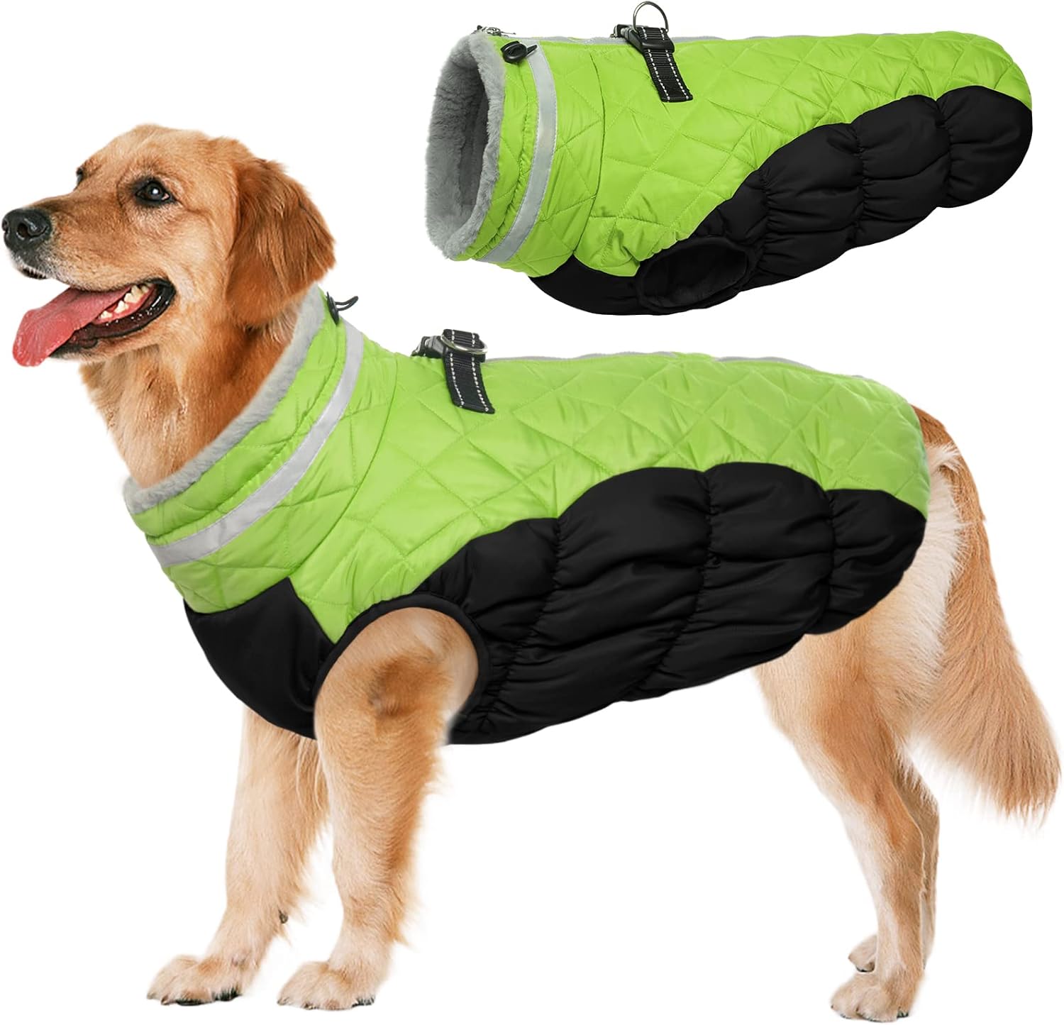 Close up of zipper and buckle on Lelepet dog apparel