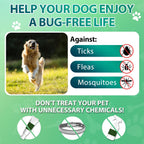 USA-imported Carmelie flea and tick protection jar highlighting the non-chemical coat care and wellness benefits
