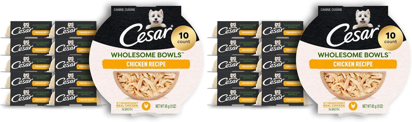 Cesar Wholesome Bowls Adult Wet Dog Food, Chicken, Recipe, Wet Food for Dogs, 3 Oz. Bowls, 10 Count - Image 12