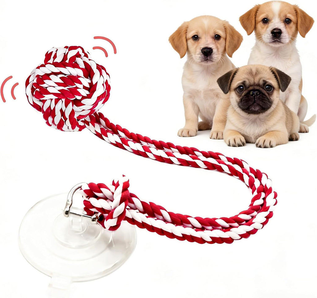 Interactive Dog Toys to Keep Them Busy, Tug of War, Dog Enrichment Toys for Aggressive Chewers, Puppy Teething Toys,Durable Rope & Chew Ball, Indoor Toys Small DogsRainbow - Image 9