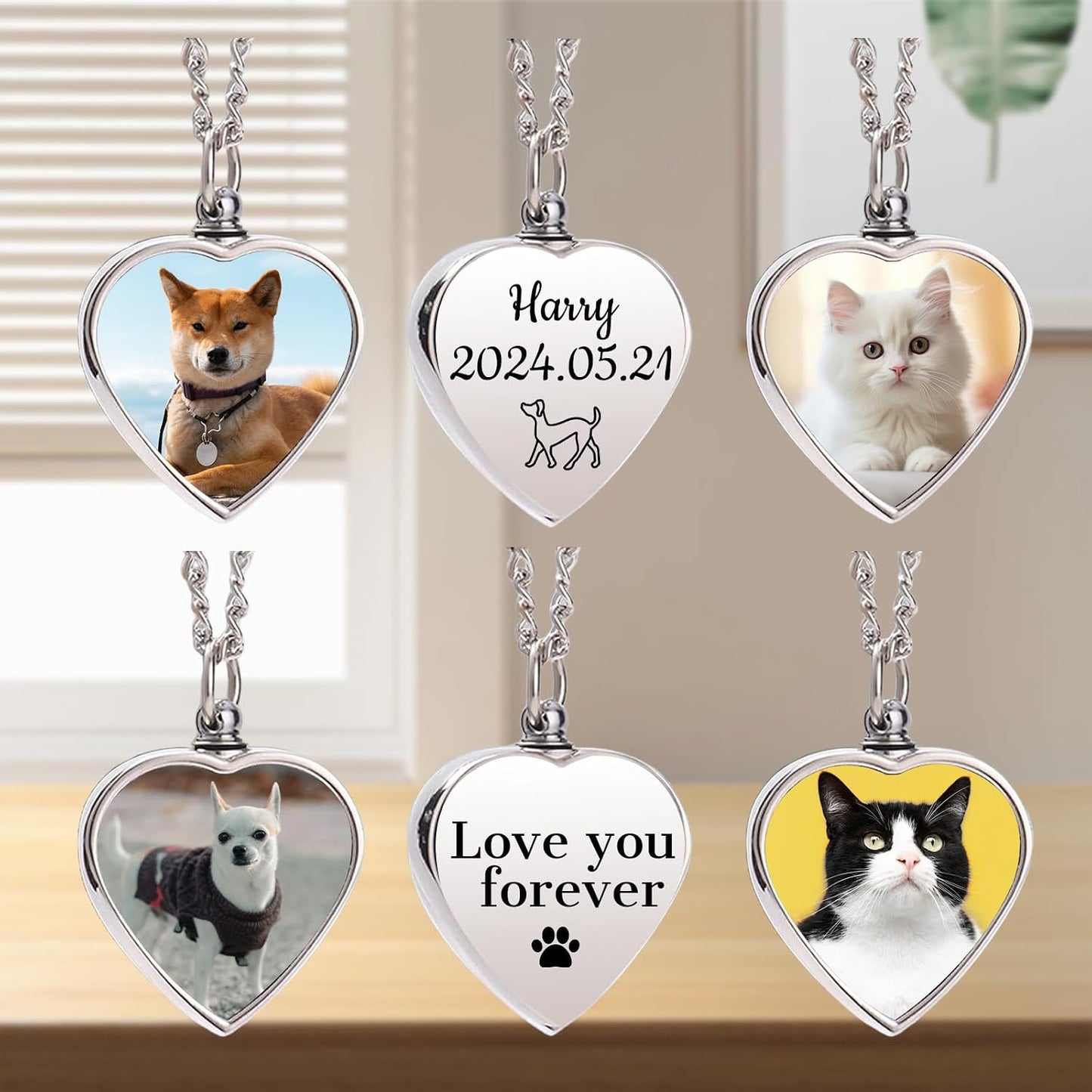 Guoer pet sympathy gift packaging including the funnel and needle tools