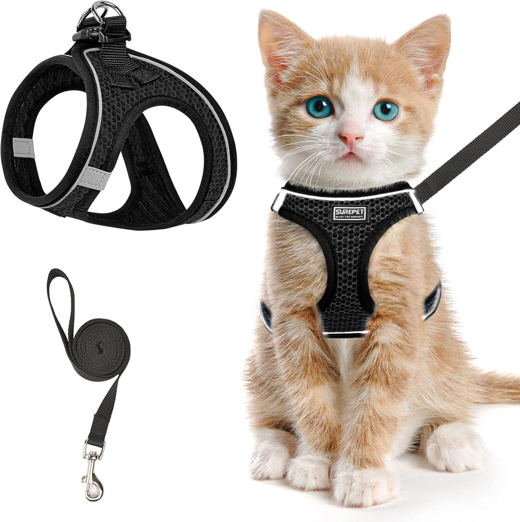 Reflective safety strips on SALFSE puppy and kitten harness