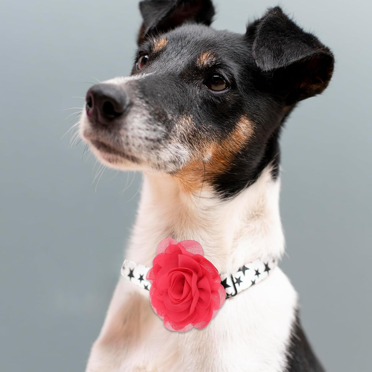 InnoHHustle ruffled chiffon fabric flower charms displayed in assorted colors for festive dog outfits.