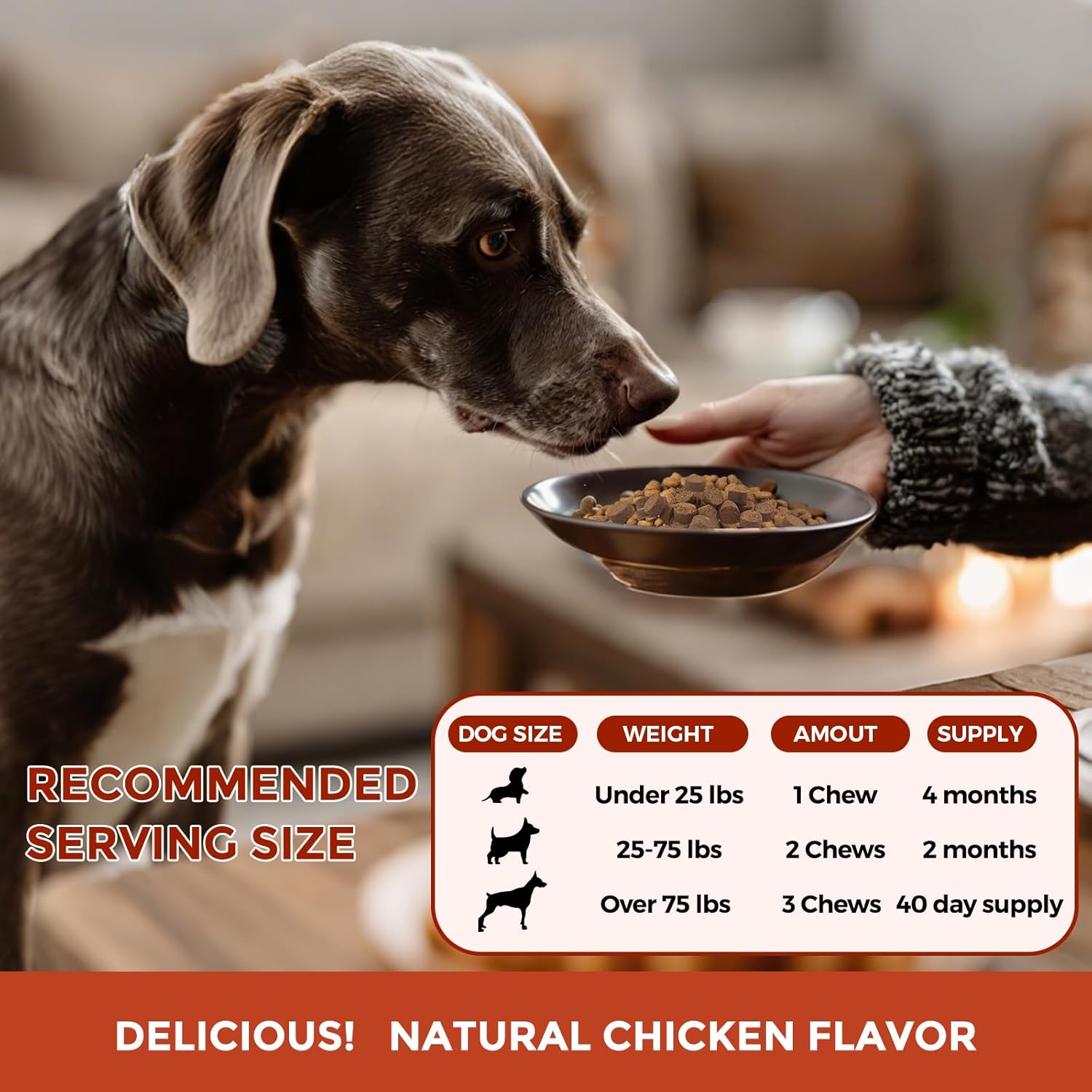 Legitpet vet formulated immune and kidney support chewables for dogs