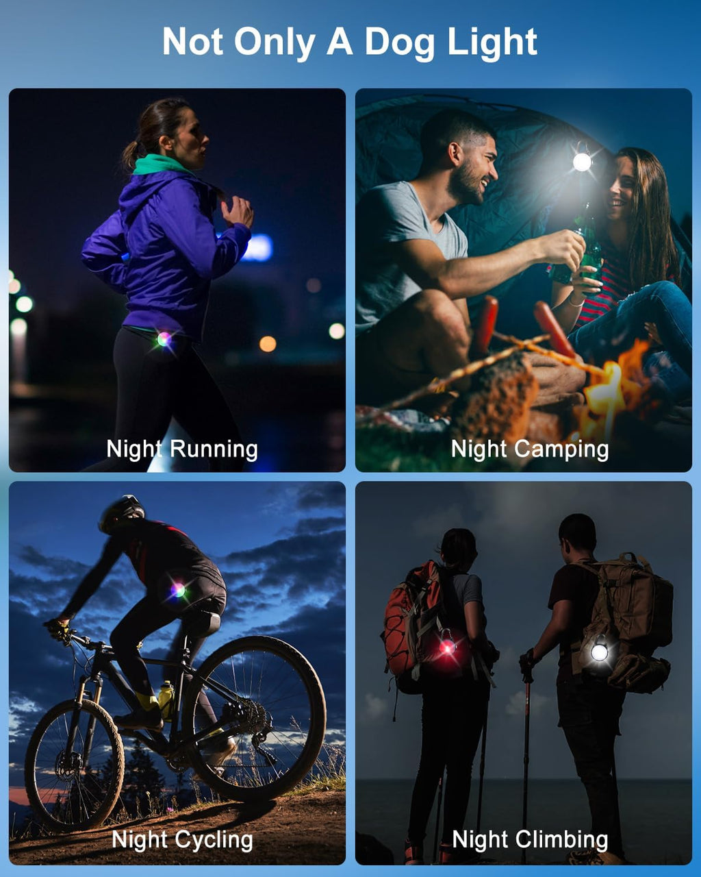 DAAMENT Camping Essentials for Pets worn by a dog outdoors during nighttime running.