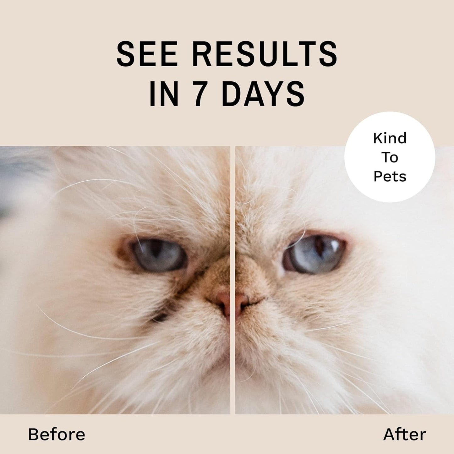Safe dog and cat eye cleanser powder to absorb under eye wetness