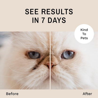 Safe dog and cat eye cleanser powder to absorb under eye wetness