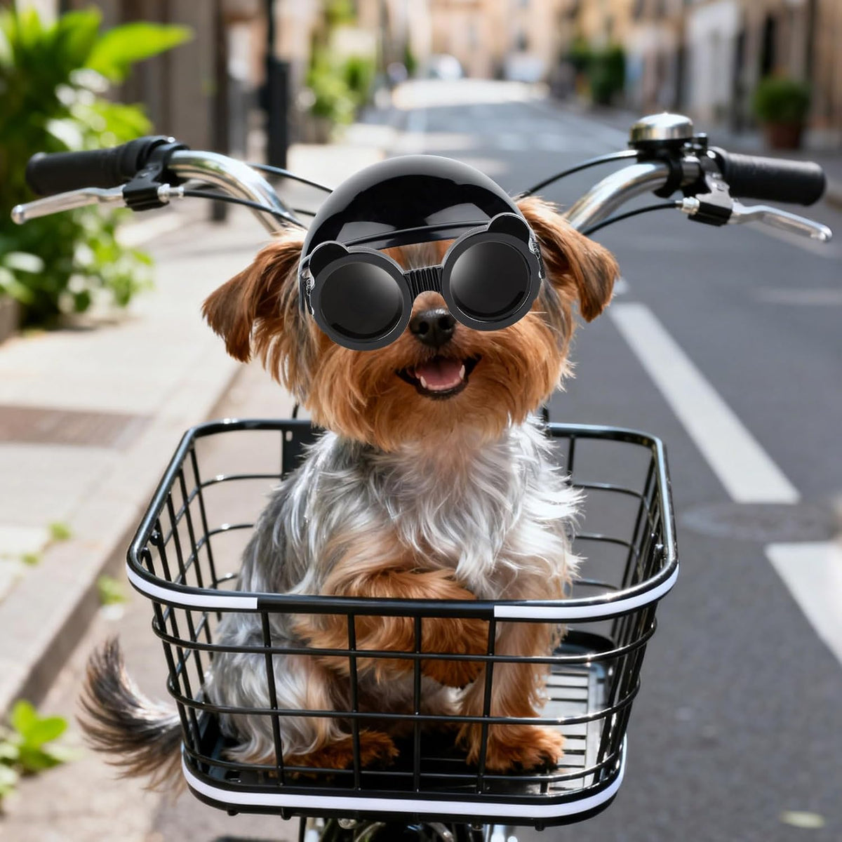 Small cat wearing Petleso helmet and goggles set