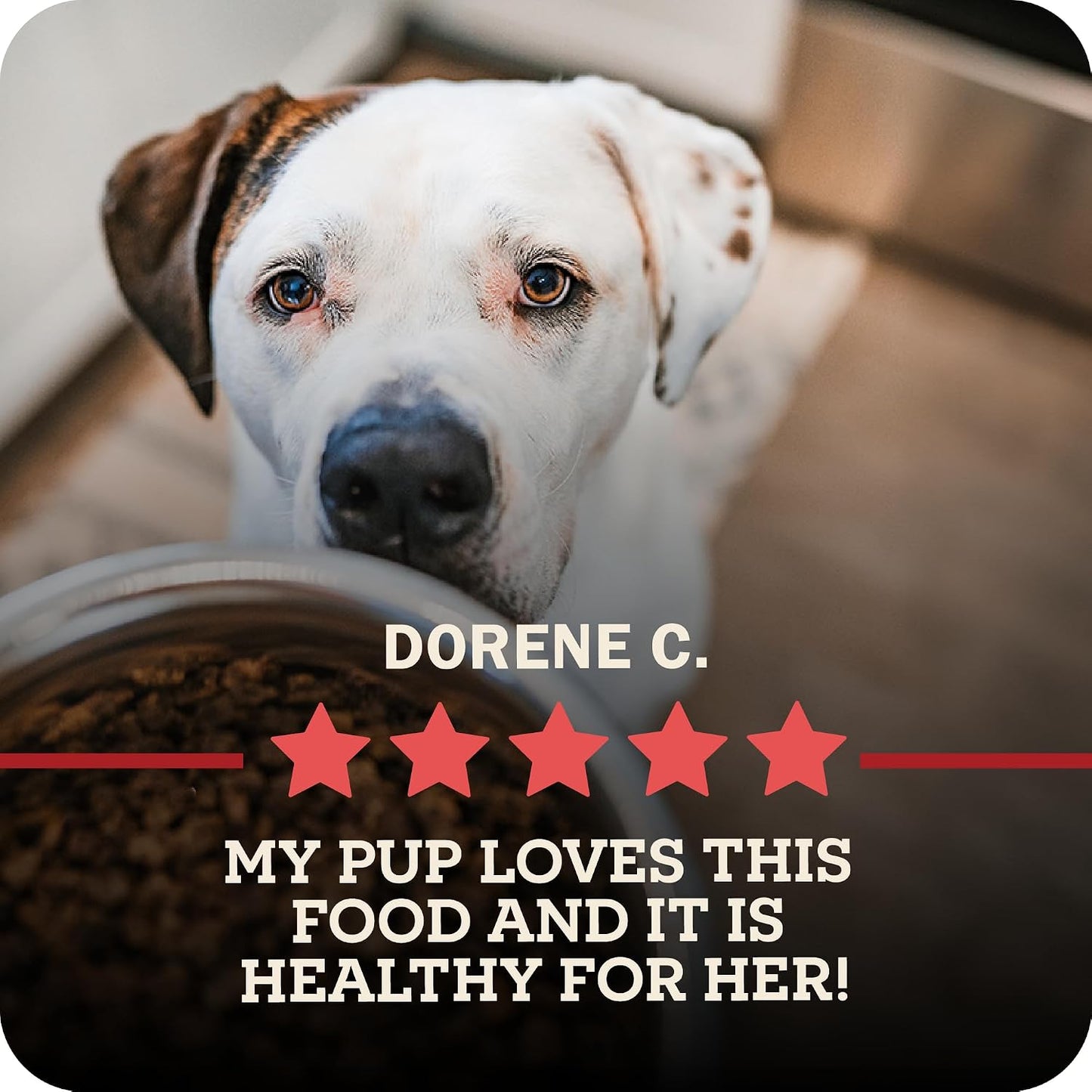 Redbarn Powerfood Air Dried Puppy Food 2 lbs - 93% Real Chicken & Organs High Protein Dry Recipe for Healthy Growth Development Immunity & Digestive Health - Image 10