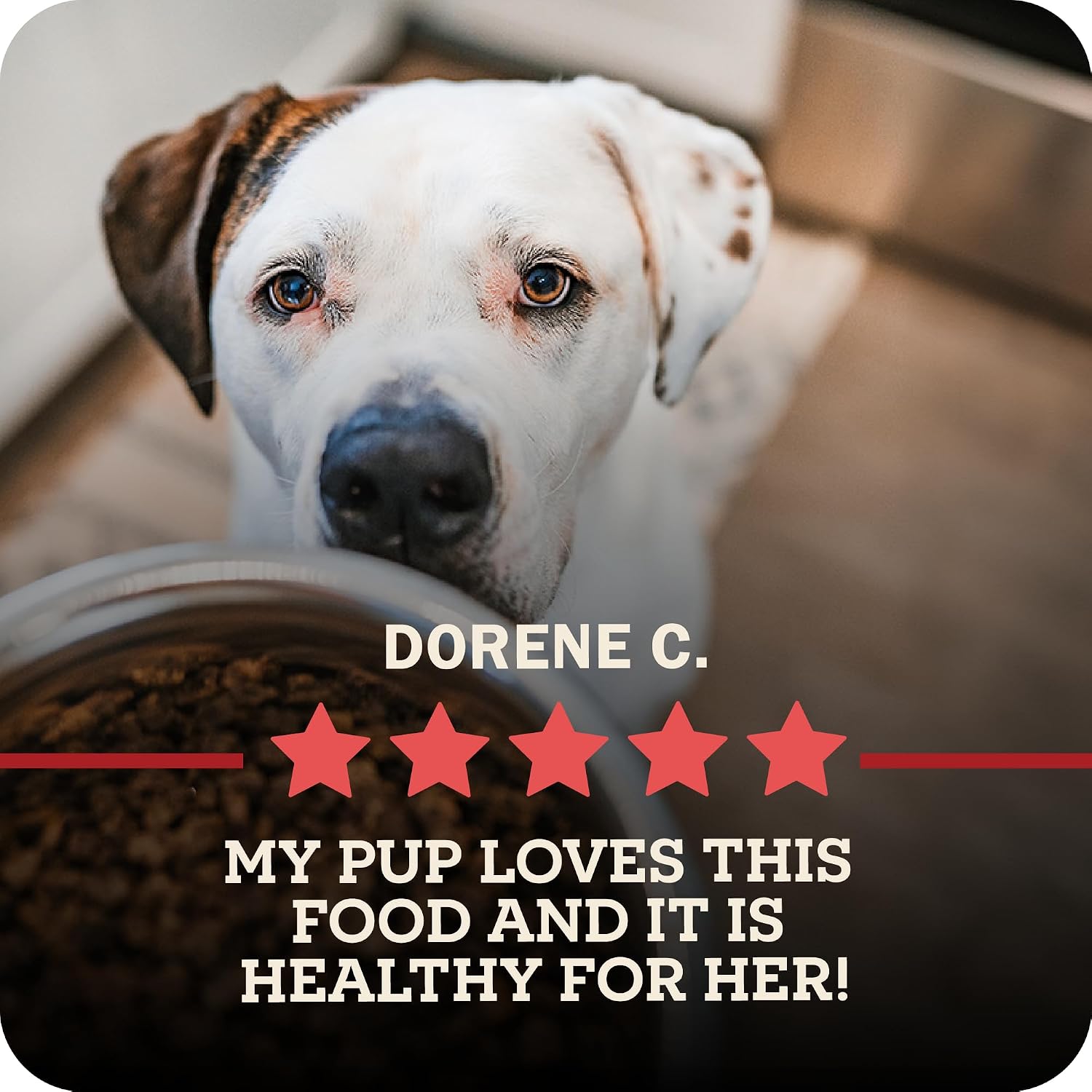 Redbarn Powerfood Air Dried Dog Food Small Breed Recipe 2 lbs - 91% Chicken & Chicken Organs with Blueberries Prebiotics Postbiotics Grain Free Wholesome Pet Food Made in USA - Image 11