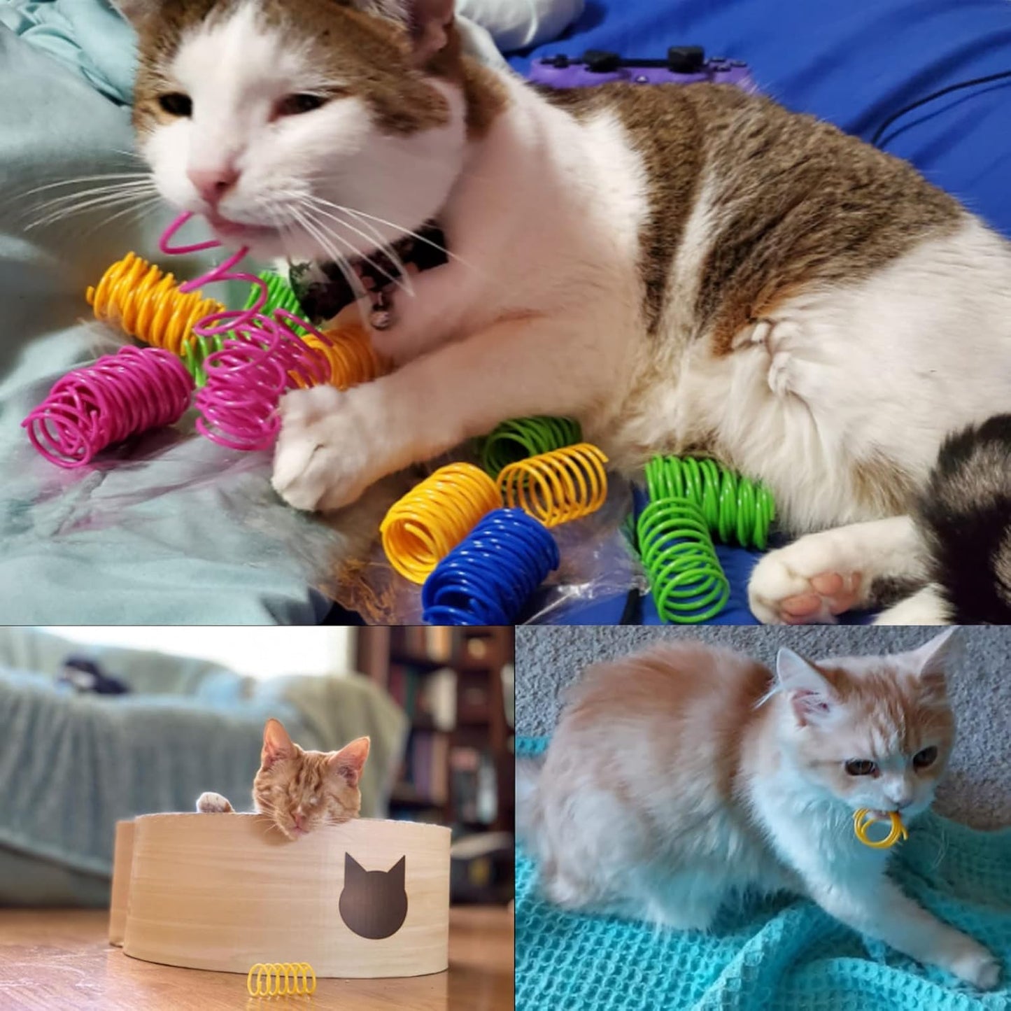 ISMARTEN pet wide colorful springs package demonstration active play