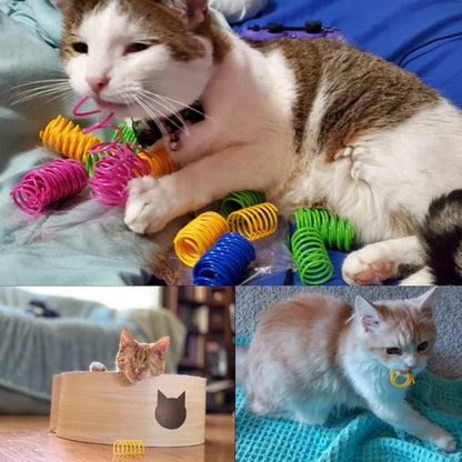 ISMARTEN pet wide colorful springs package demonstration active play