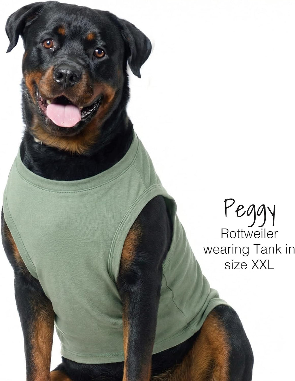 GOTS certified cotton pet clothing texture
