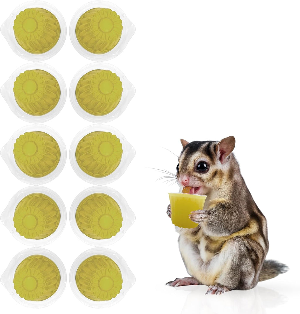 Forty piece variety pack of Snout and Shell fruit nectar pods displayed together for pet dietary supplementation.