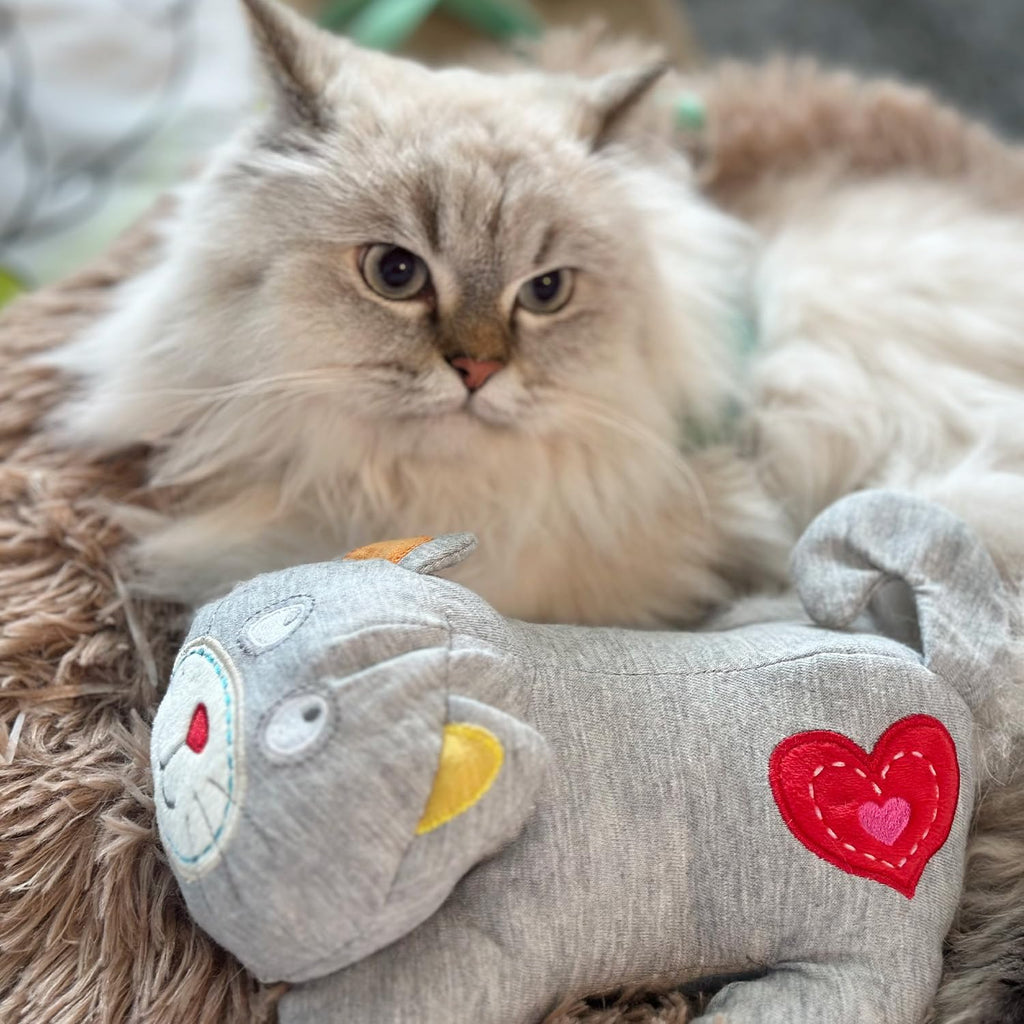 All For Paws maternal pulse mimicking kitty toy displayed fully assembled for pet use