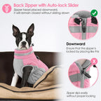 Back view of dog wearing Aofitee coat with leash attached
