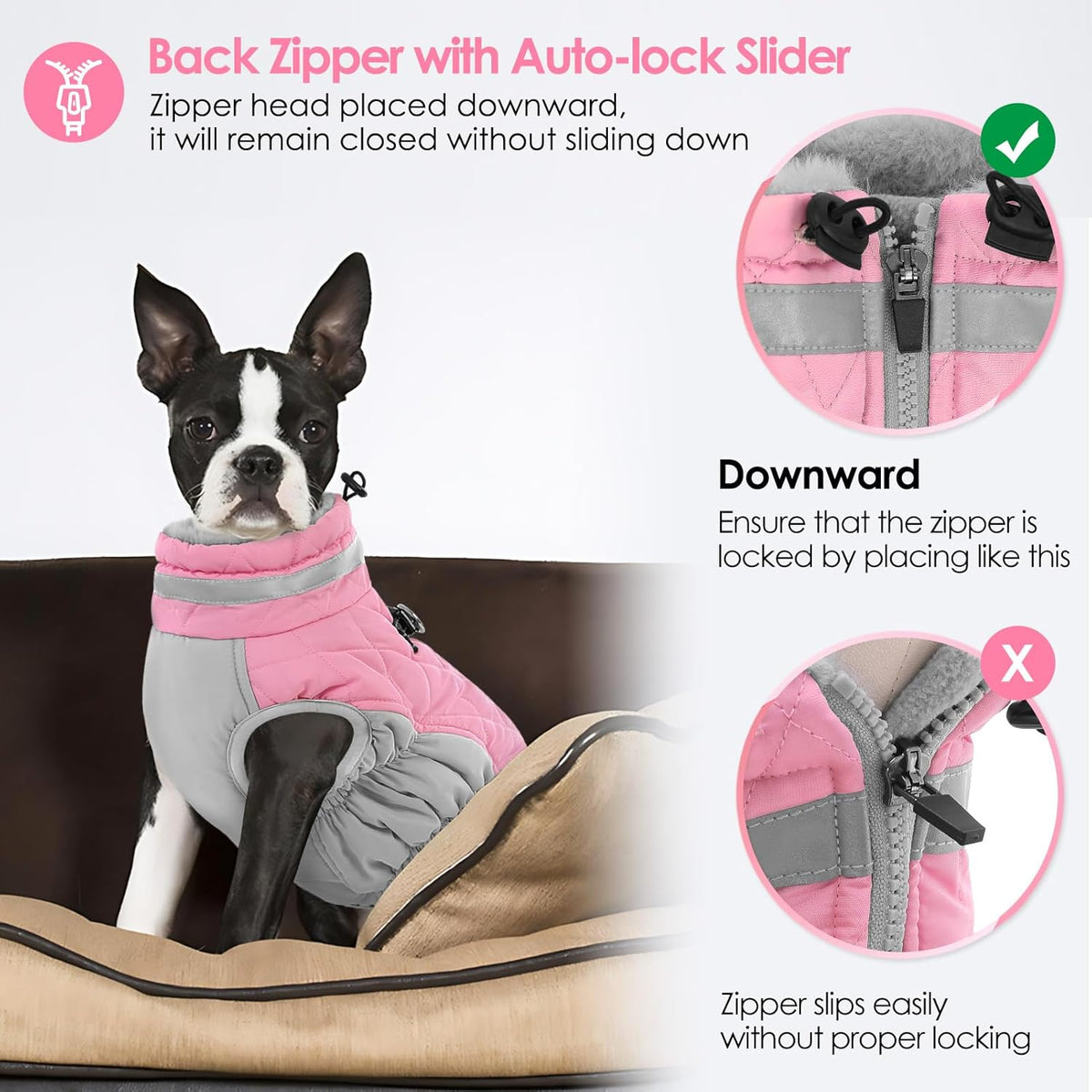 Back view of dog wearing Aofitee coat with leash attached