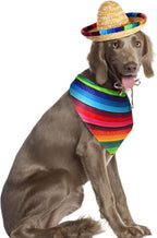 Saintrygo dog party costume set for festive occasions