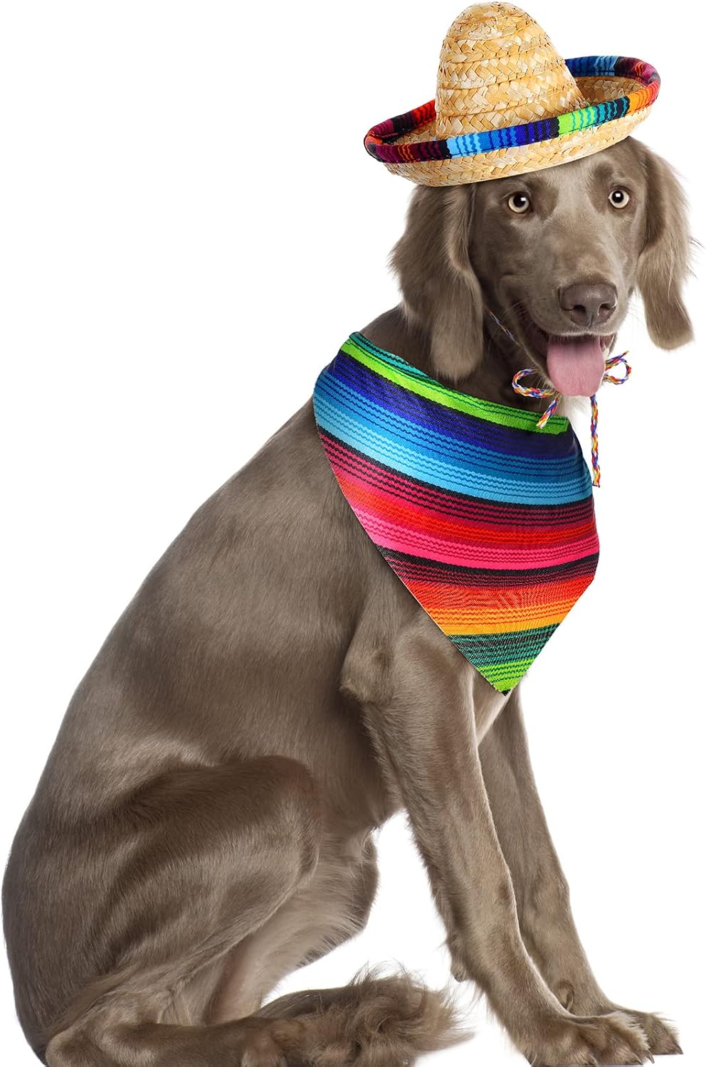 Saintrygo dog party costume set for festive occasions