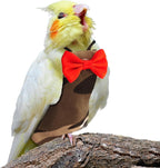 XQIGI bird clothing demonstrating proper shoulder strap placement
