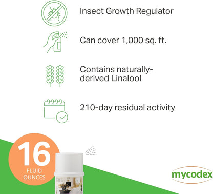 Using Mycodex Plus spray on household carpet for pest removal