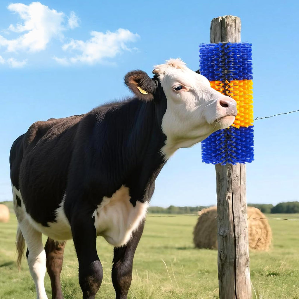 Heavy duty animal scratching brush showing secure screw hole placements