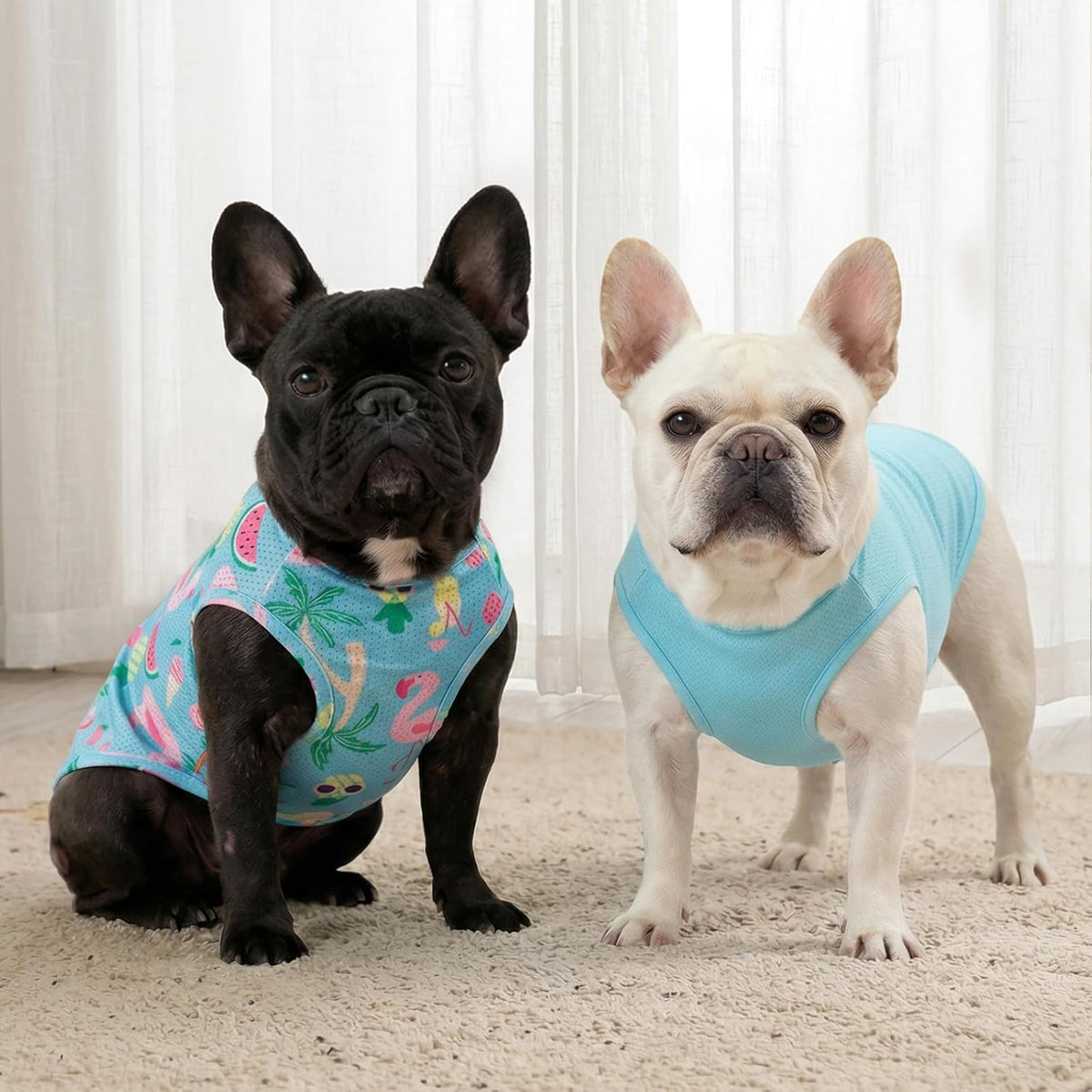 Dog showing fit of Kyeese sleeveless summer apparel