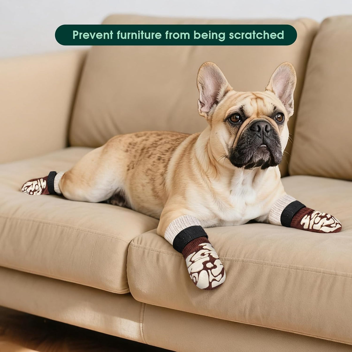 Senior dog walking confidently with Kuoser traction socks