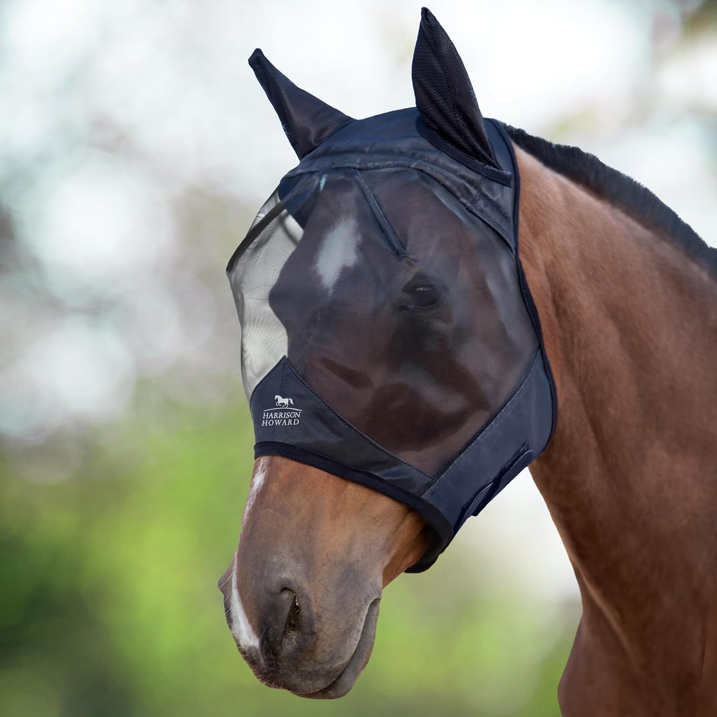 Back view of Harrison Howard horse fly mask showing secure fasteners