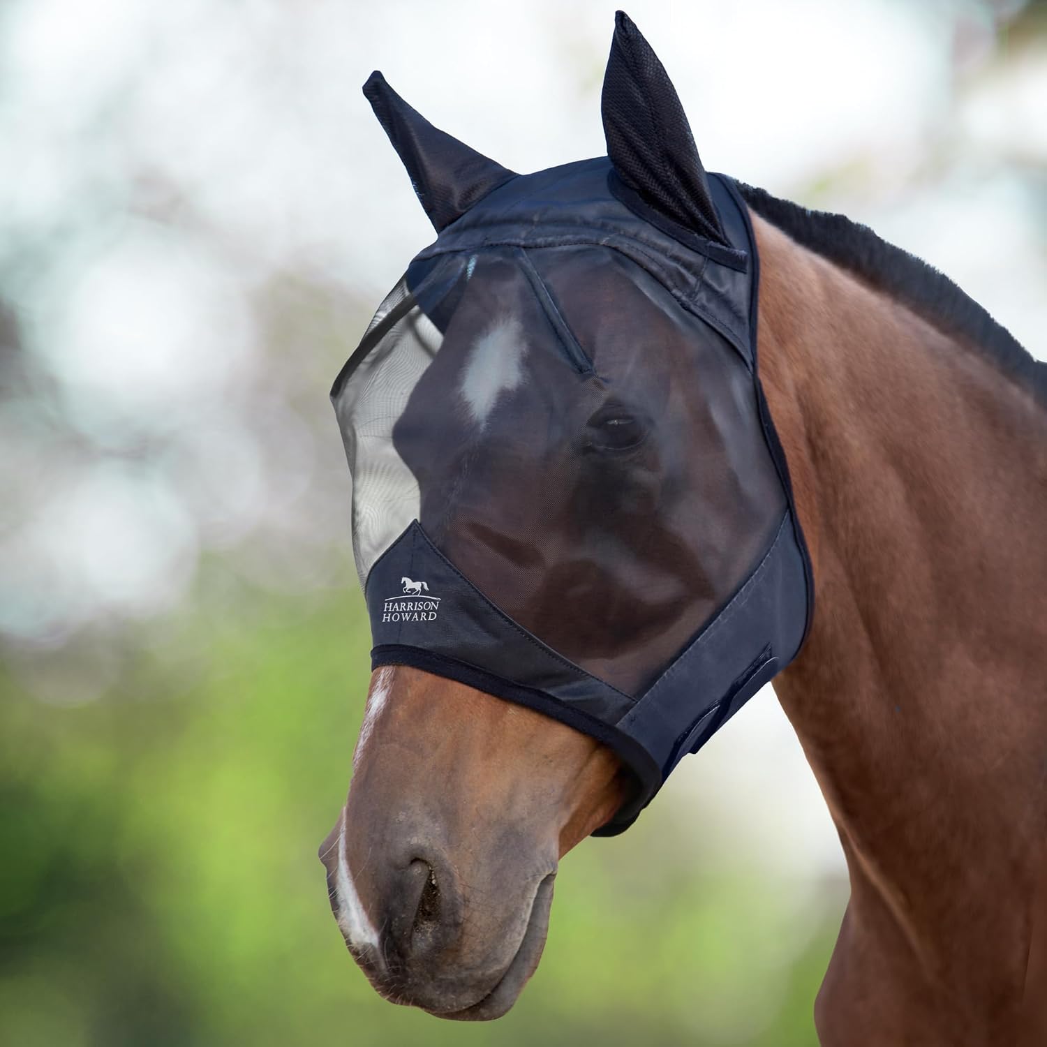Back view of Harrison Howard horse fly mask showing secure fasteners