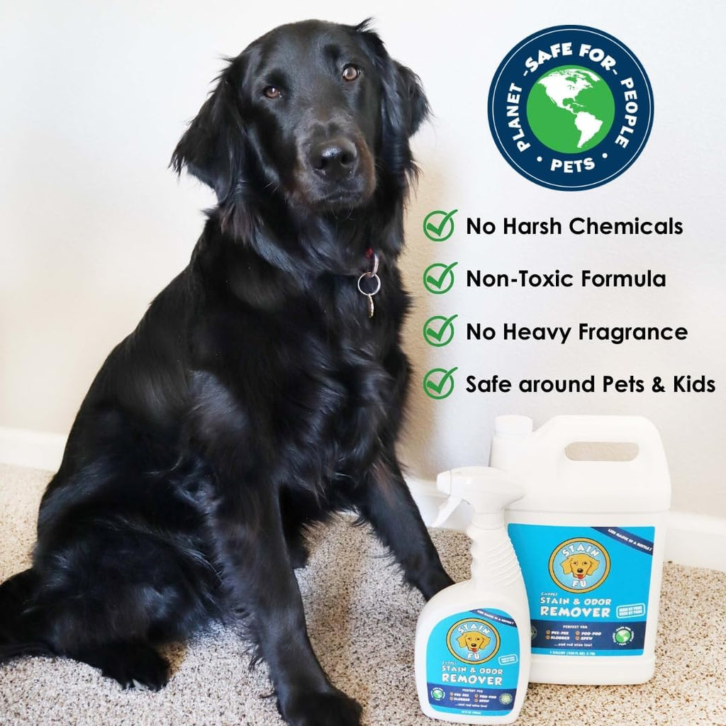 Stain Fu carpet cleaner spray for household stain removal