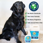 Stain Fu carpet cleaner spray for household stain removal