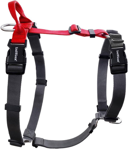 LufeLux non-restrictive dog harness front view