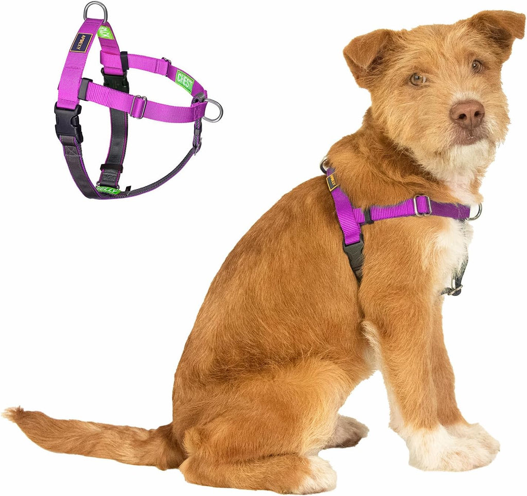 Freedom No Pull Dog Harness, Designed for Hound Dog Train, Easy Walk with 2 Stainless D-Rings, Sewn-in Instructions Tags for Easy Use, for Large Dogs Weight 60-80 lbs (Purple, L) - Image 12