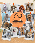 IREDOON rechargeable pet precision trimmer packaging overview