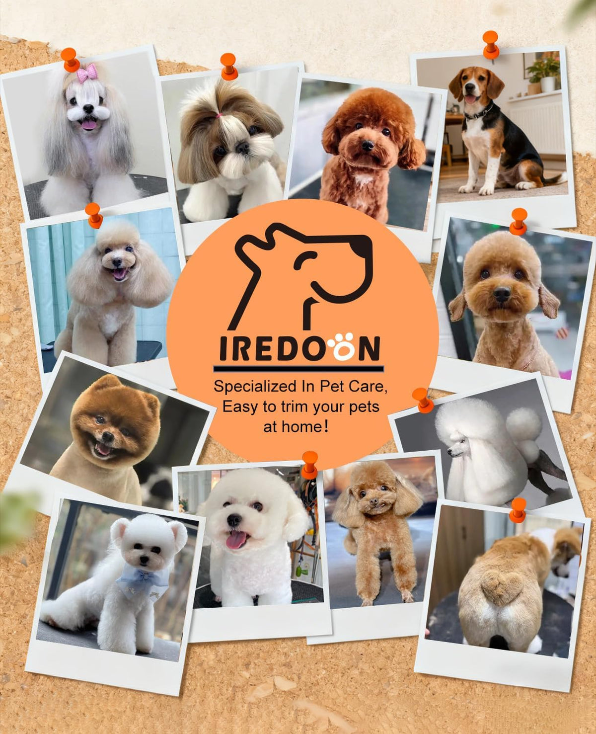 IREDOON rechargeable pet precision trimmer packaging overview