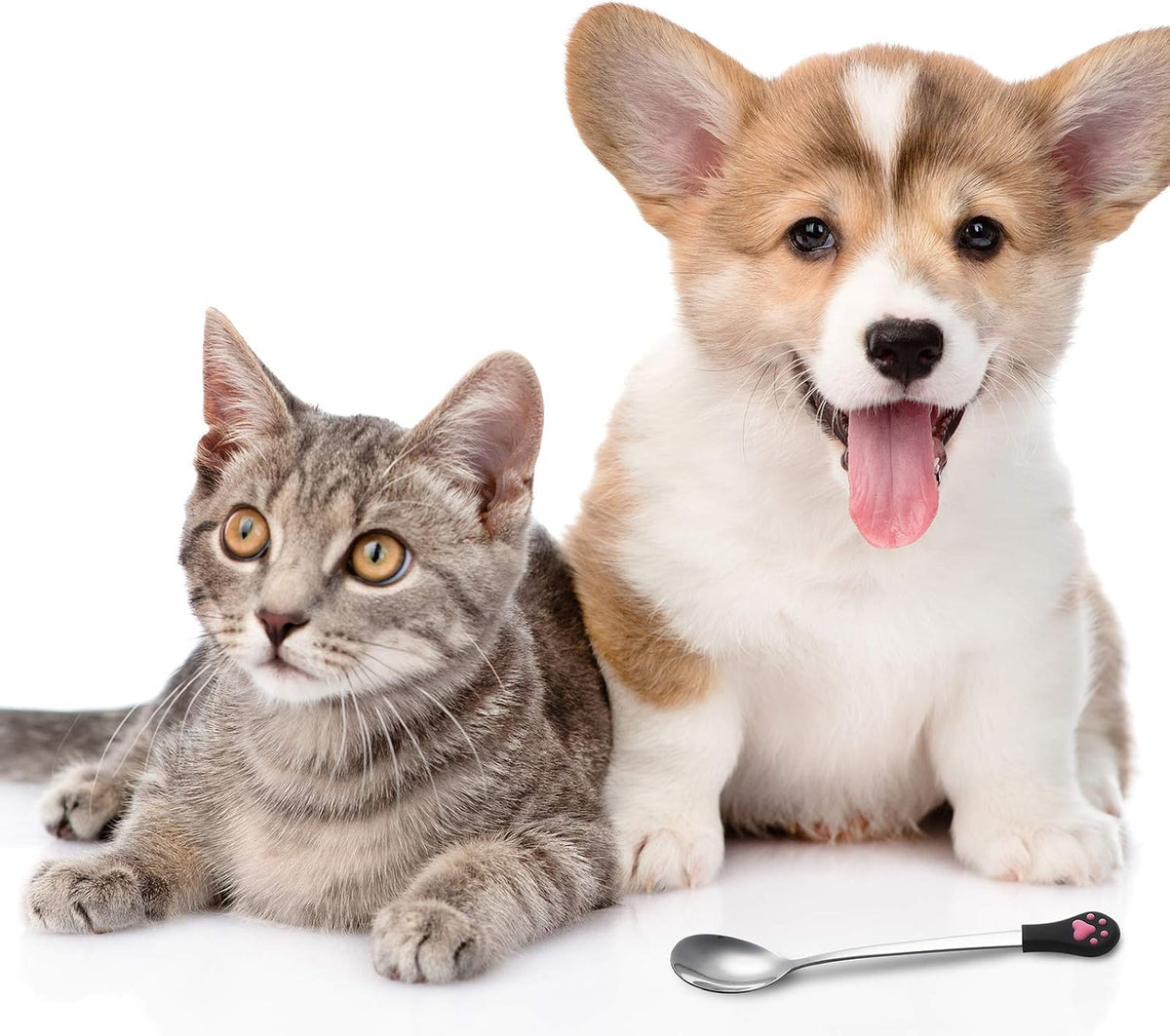 Patelai pet food spoons arranged on a kitchen surface