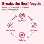 Step by step application instructions on the reverse side of the pest control packaging.