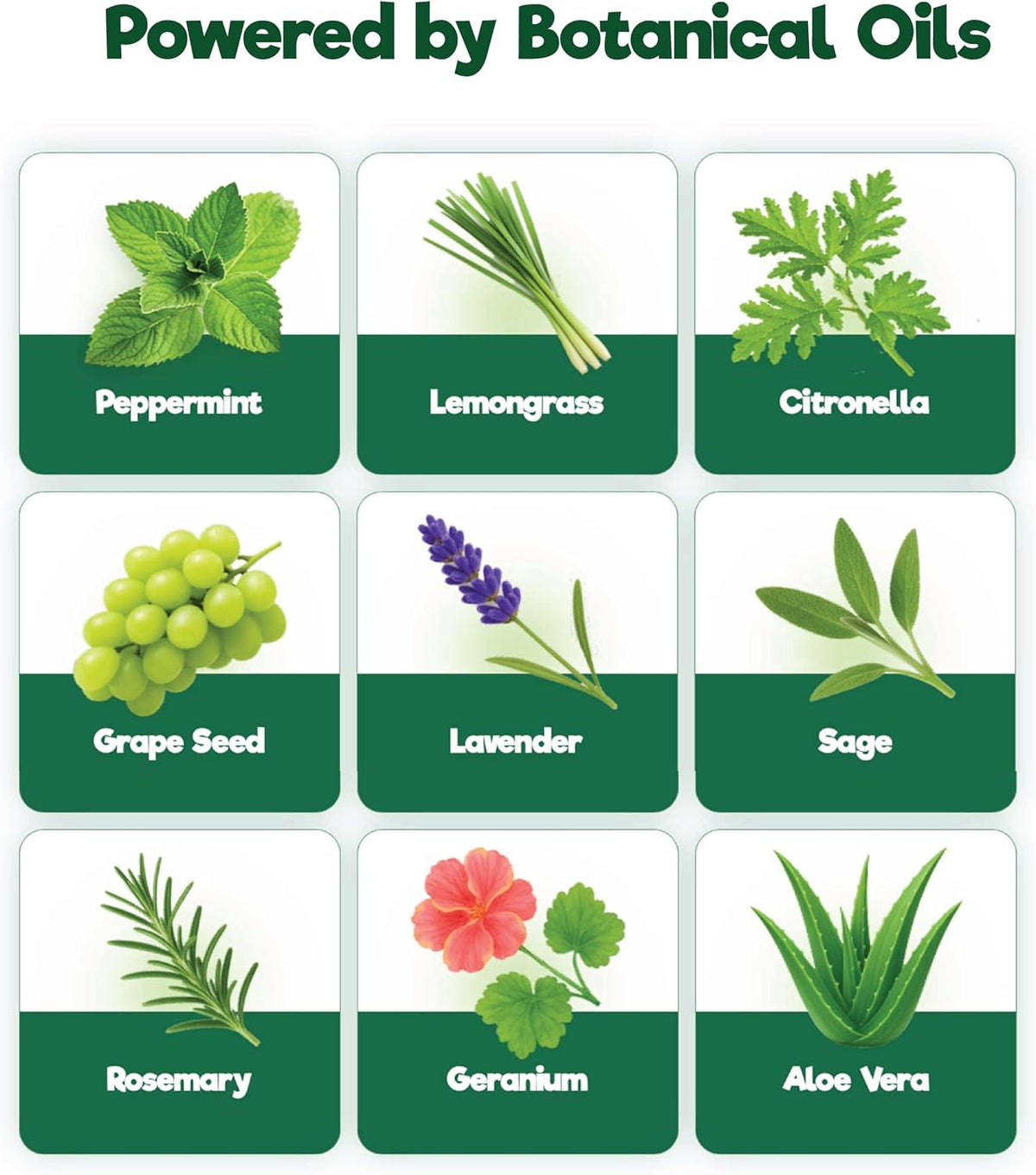 Close up of botanical ingredient dog grooming spray