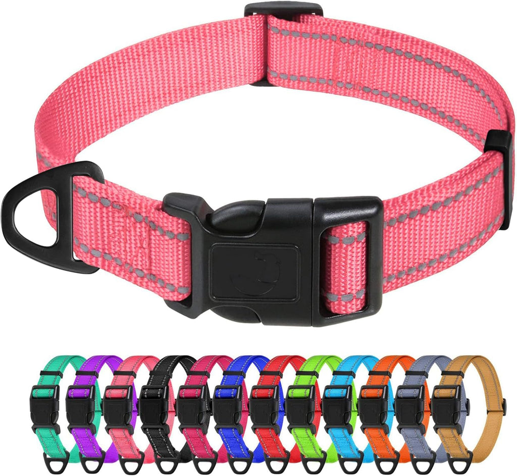 TagME Dog Collars for Small Dogs, Reflective Nylon Pet Collar with Quick Release Buckle, Small Dog Collar for Boys, Sky Blue, 3/8" Width - Image 12