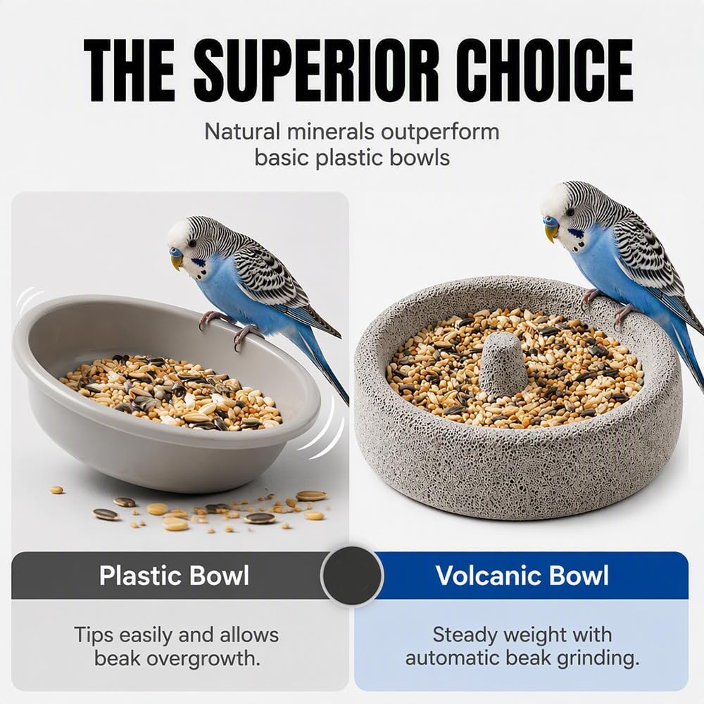 Nekska bird food and water bowl in cage setup