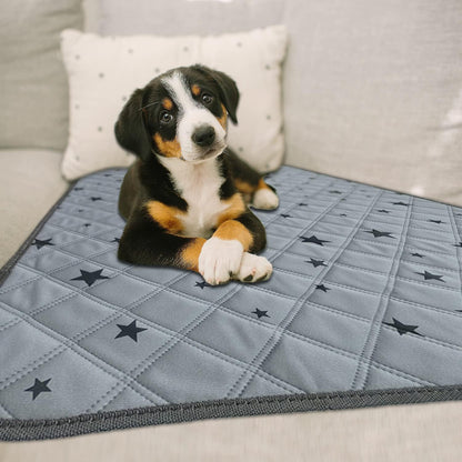 Puppy sitting on Rioussi gray stars reusable pee pad