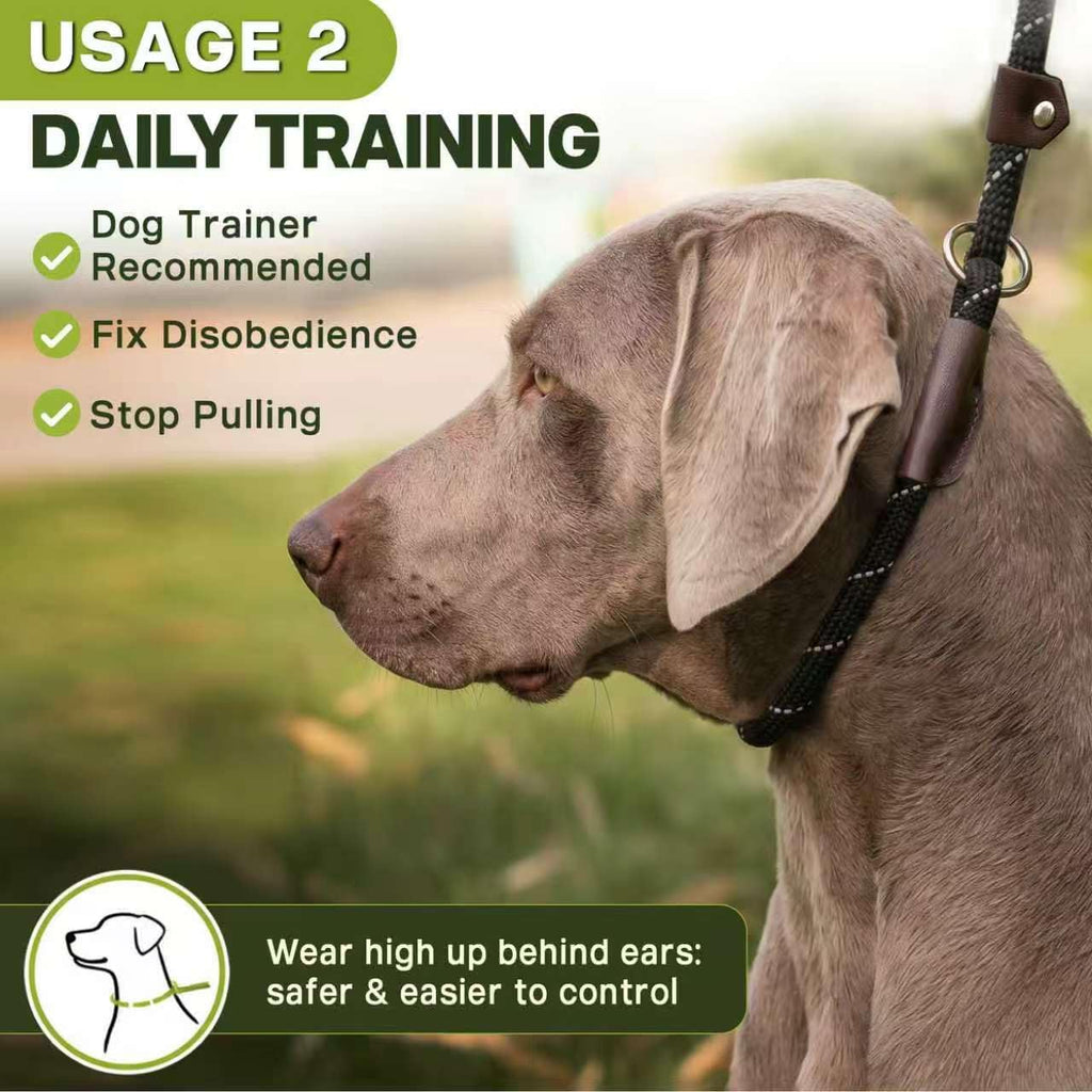 Fida black slip lead leash laid flat demonstrating six foot full length scale.