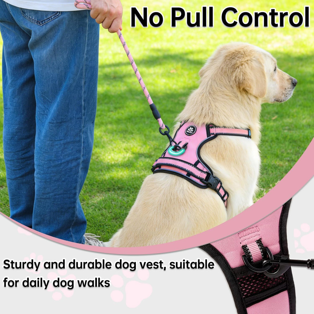 Matching leash and harness set for dogs
