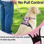 Matching leash and harness set for dogs
