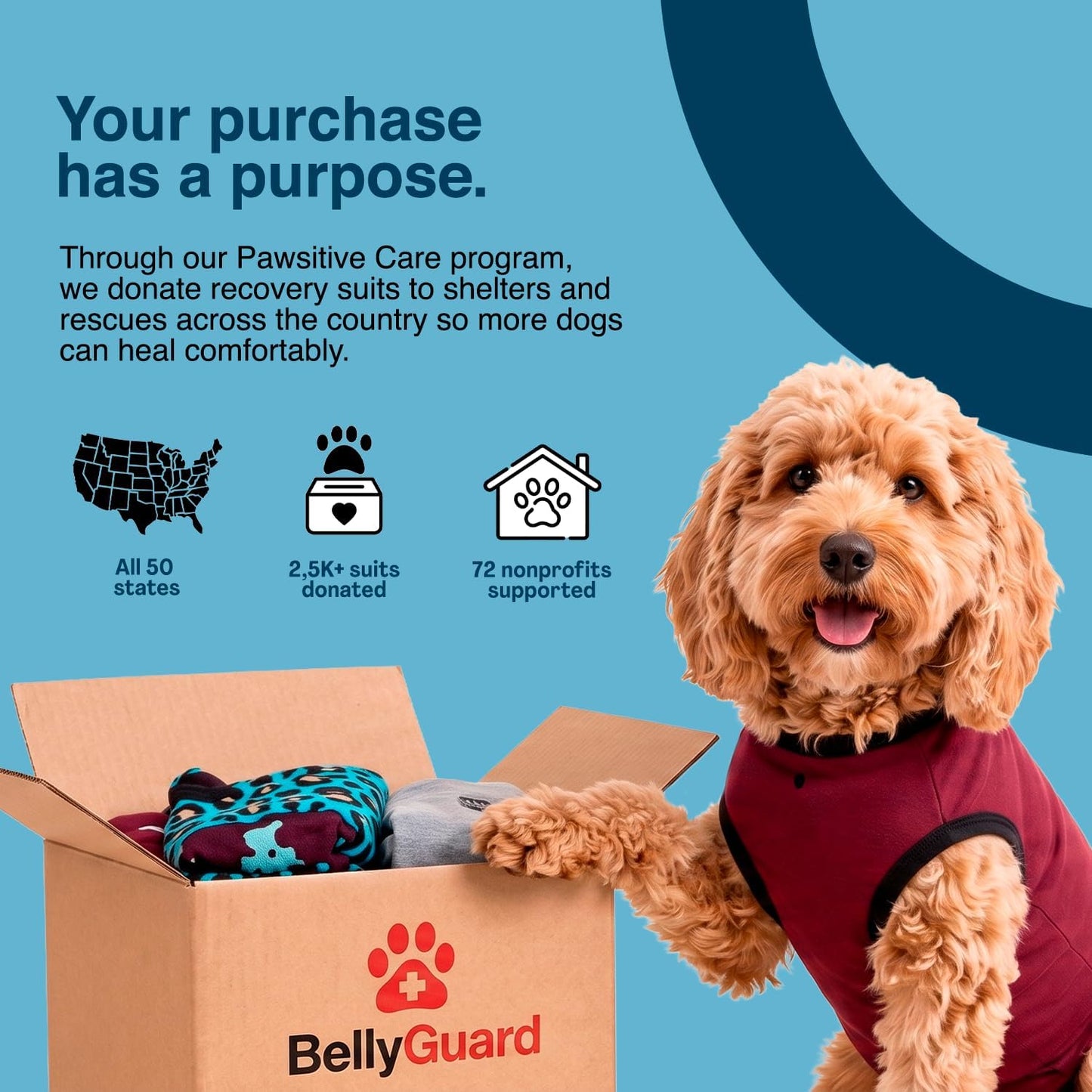 BellyGuard canine post surgery protector body suit for wound care